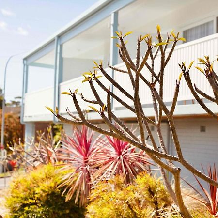 Mollymook Motel Экстерьер фото